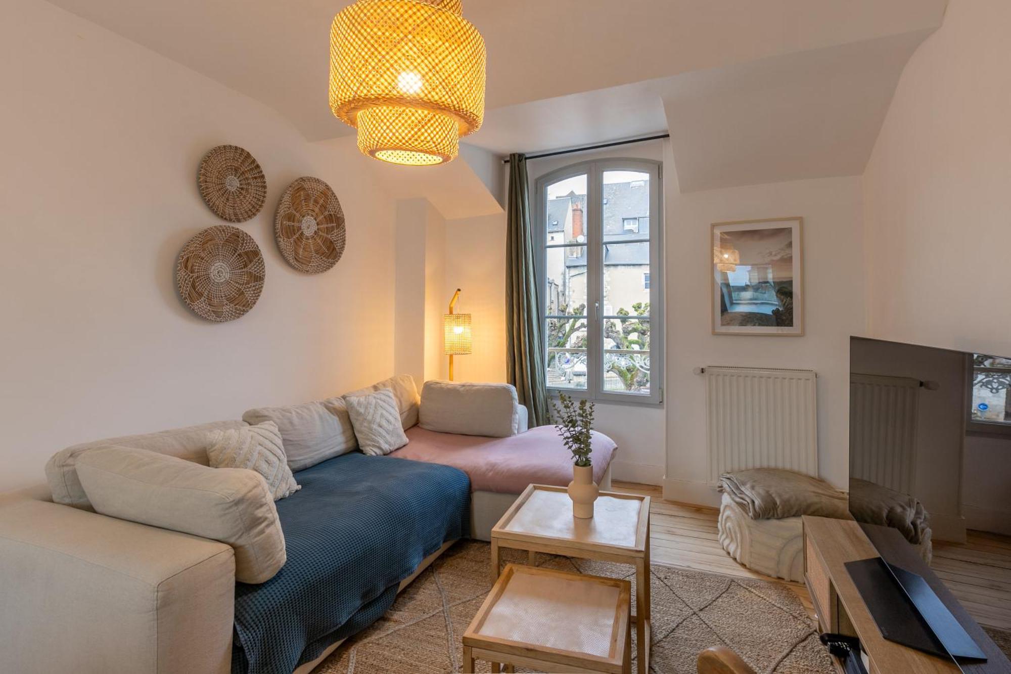 Le Nid De Saint Honore - Sur Les Toits De Blois Buitenkant foto